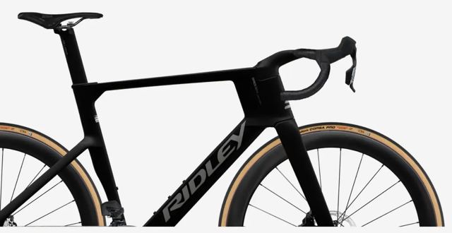 Ridley Noah Fast 配色：Black・Empress Grey Metallic Logo