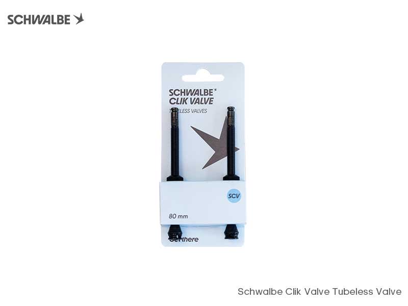 SCHWALBE 快拆無內胎氣嘴