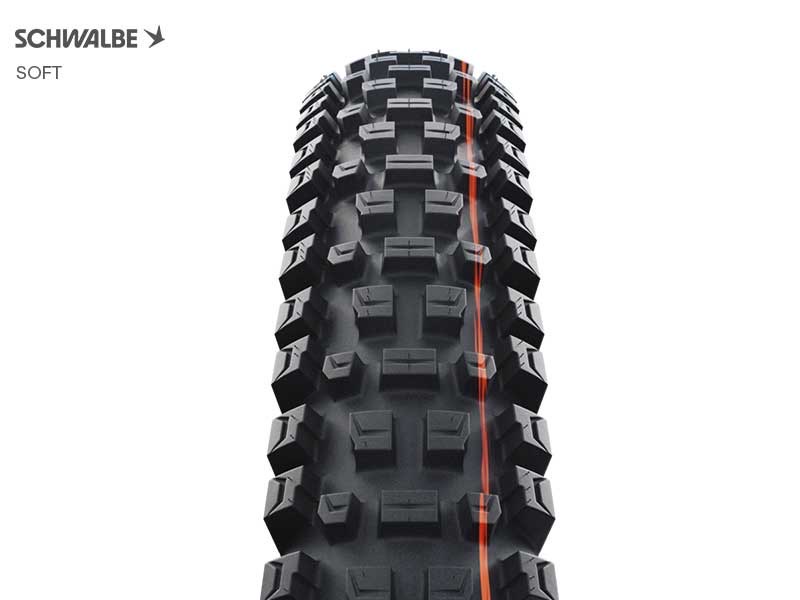 SCHWALBE GRAVITY PRO Albert Radial