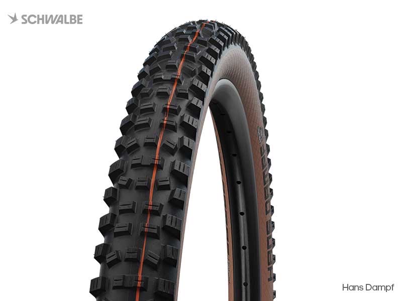SCHWALBE Hans Dampf