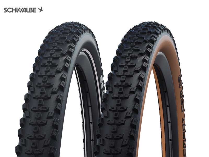 SCHWALBE Smart Sam